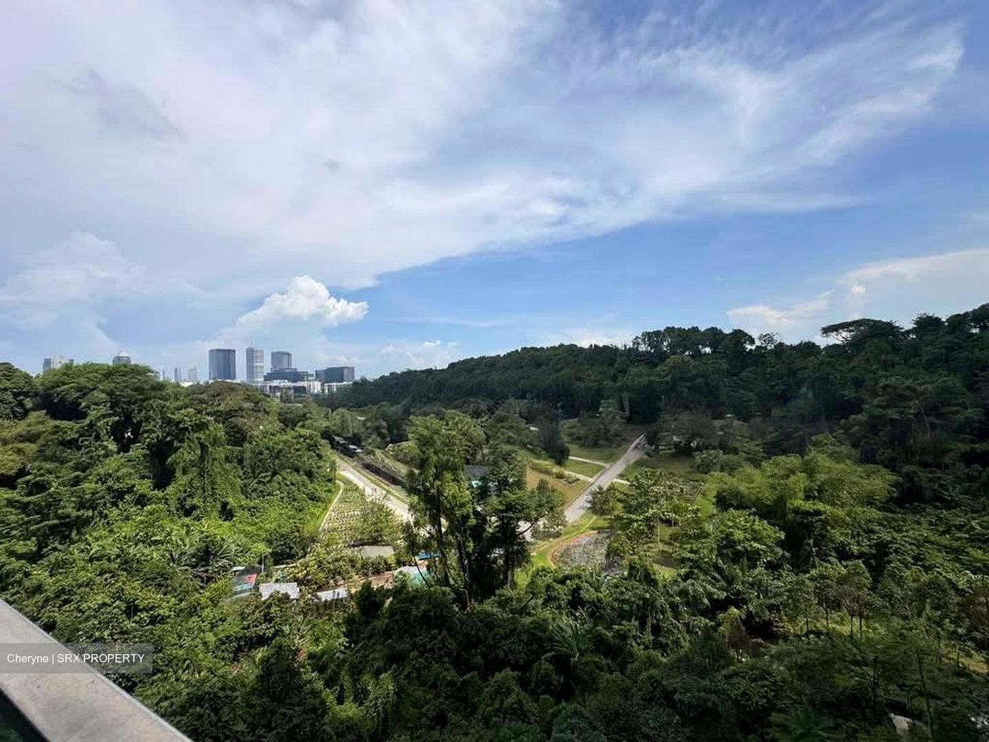 Normanton Park (D5), Apartment #557988991